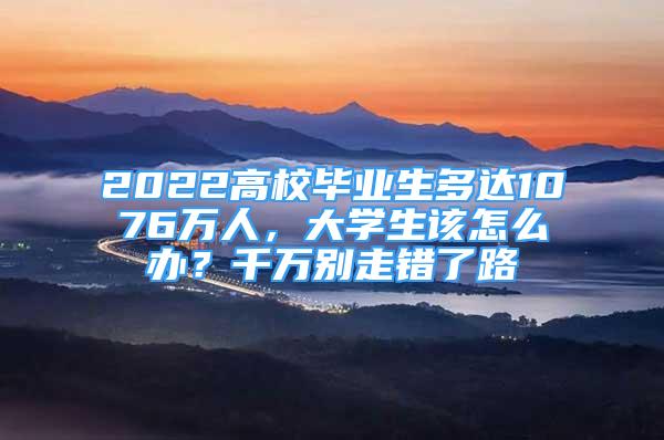 2022高校畢業(yè)生多達1076萬人，大學生該怎么辦？千萬別走錯了路