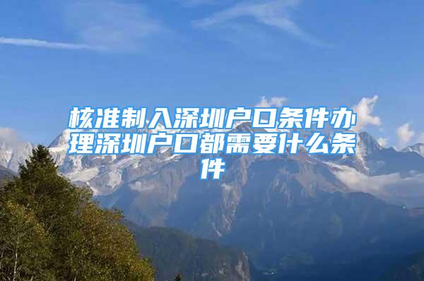 核準制入深圳戶口條件辦理深圳戶口都需要什么條件