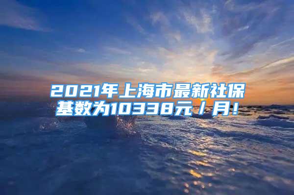 2021年上海市最新社?；鶖?shù)為10338元／月！