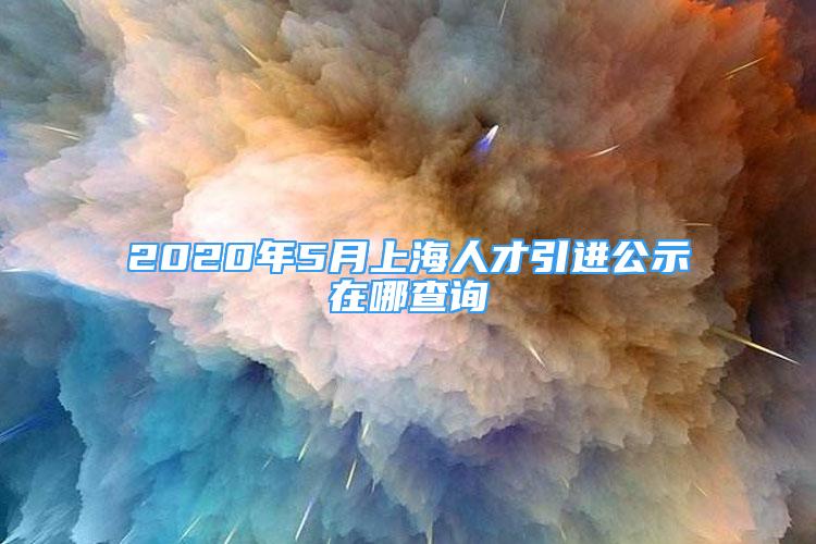 2020年5月上海人才引進(jìn)公示在哪查詢(xún)