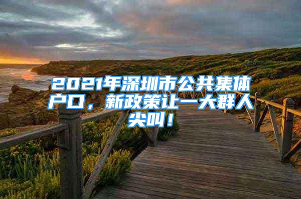 2021年深圳市公共集體戶(hù)口，新政策讓一大群人尖叫！