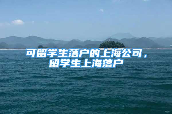 可留學生落戶的上海公司，留學生上海落戶