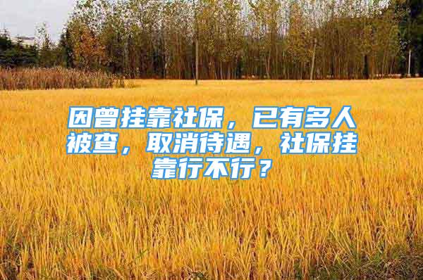 因曾掛靠社保，已有多人被查，取消待遇，社保掛靠行不行？