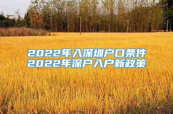 2022年入深圳戶口條件2022年深戶入戶新政策