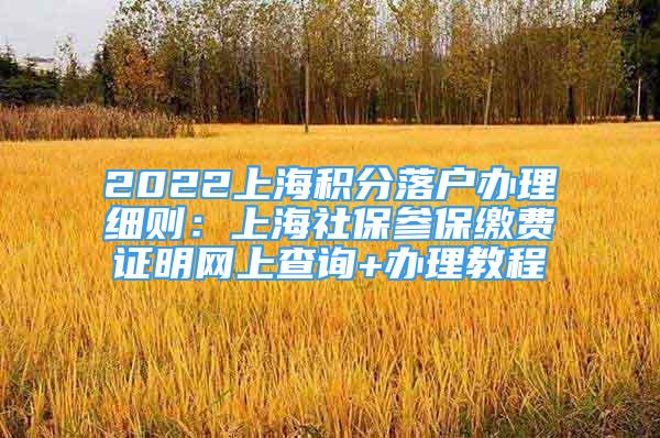 2022上海積分落戶辦理細(xì)則：上海社保參保繳費(fèi)證明網(wǎng)上查詢+辦理教程