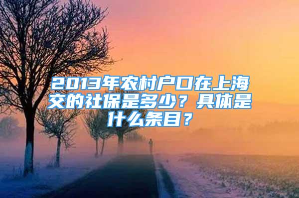 2013年農(nóng)村戶口在上海交的社保是多少？具體是什么條目？