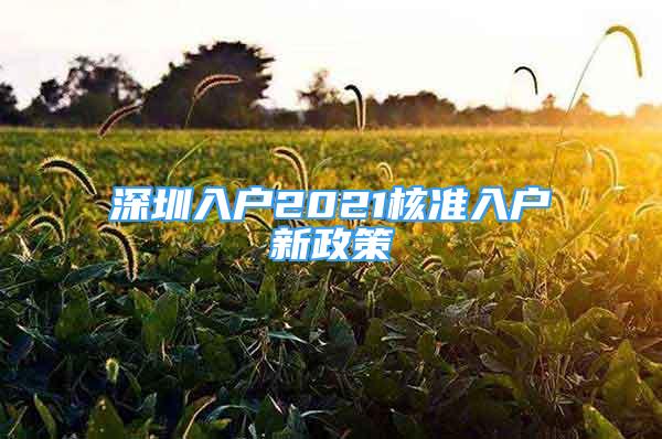 深圳入戶2021核準入戶新政策