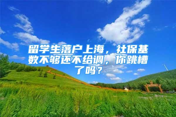 留學(xué)生落戶上海，社?；鶖?shù)不夠還不給調(diào)，你跳槽了嗎？