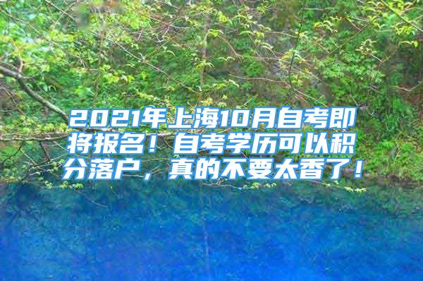 2021年上海10月自考即將報(bào)名！自考學(xué)歷可以積分落戶，真的不要太香了！