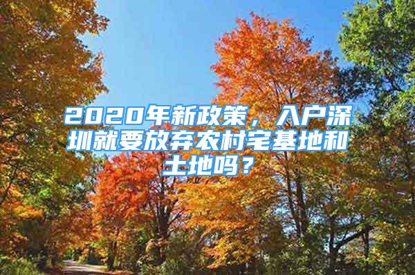 2020年新政策，入戶深圳就要放棄農(nóng)村宅基地和土地嗎？