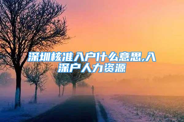 深圳核準(zhǔn)入戶什么意思,入深戶人力資源