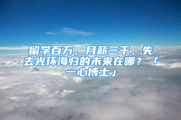 留學(xué)百萬，月薪三千，失去光環(huán)海歸的未來在哪？「一心博士」