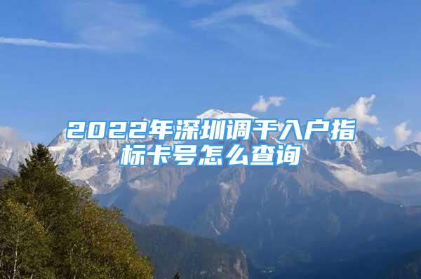 2022年深圳調(diào)干入戶指標(biāo)卡號(hào)怎么查詢