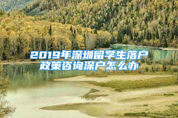 2019年深圳留學(xué)生落戶政策咨詢深戶怎么辦