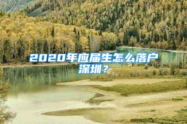 2020年應(yīng)屆生怎么落戶深圳？