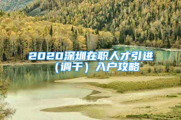 2020深圳在職人才引進(jìn)（調(diào)干）入戶攻略