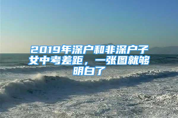 2019年深戶和非深戶子女中考差距，一張圖就夠明白了