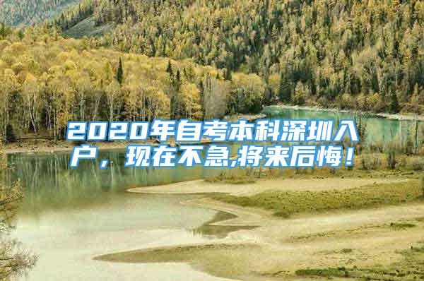 2020年自考本科深圳入戶(hù)，現(xiàn)在不急,將來(lái)后悔！