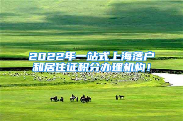 2022年一站式上海落戶和居住證積分辦理機構！