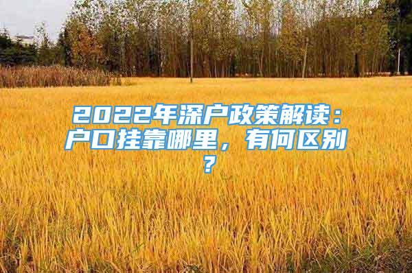 2022年深戶政策解讀：戶口掛靠哪里，有何區(qū)別？