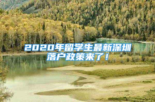 2020年留學(xué)生最新深圳落戶政策來了！