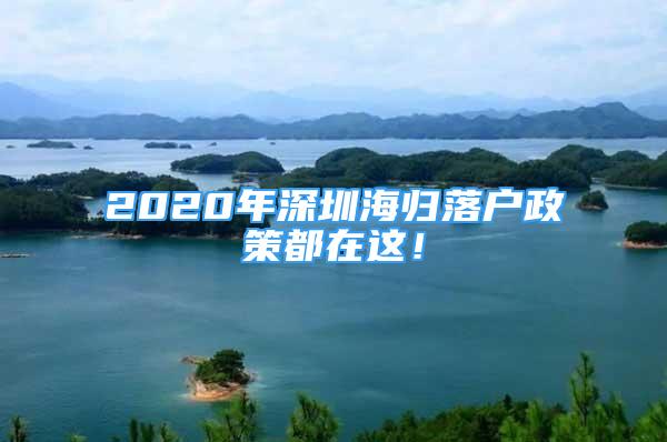 2020年深圳海歸落戶政策都在這！