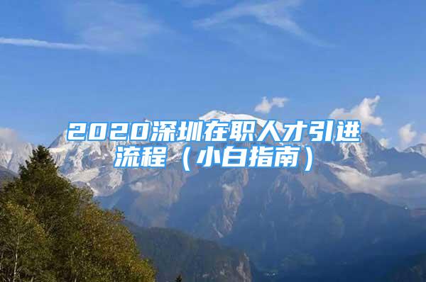 2020深圳在職人才引進(jìn)流程（小白指南）