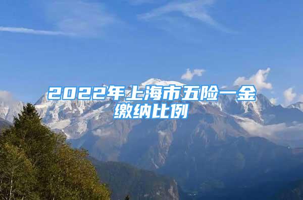 2022年上海市五險(xiǎn)一金繳納比例