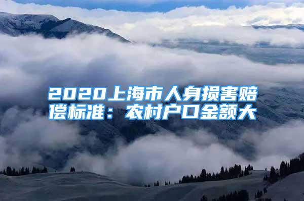 2020上海市人身損害賠償標(biāo)準(zhǔn)：農(nóng)村戶口金額大