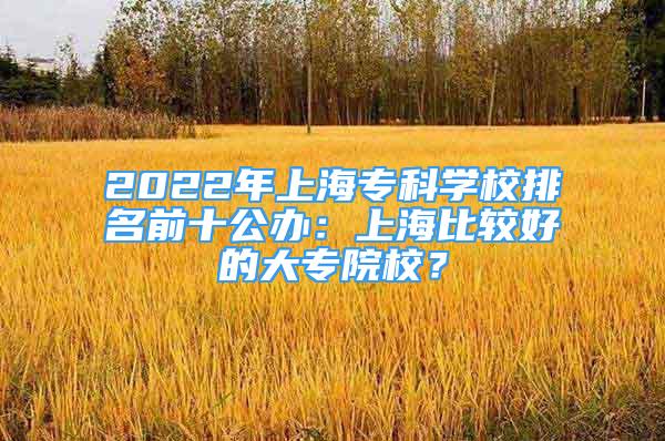 2022年上海?？茖W校排名前十公辦：上海比較好的大專院校？