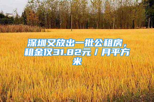 深圳又放出一批公租房，租金僅31.82元／月平方米