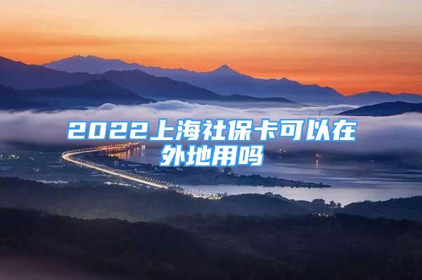 2022上海社?？梢栽谕獾赜脝?/></p>
								<p style=