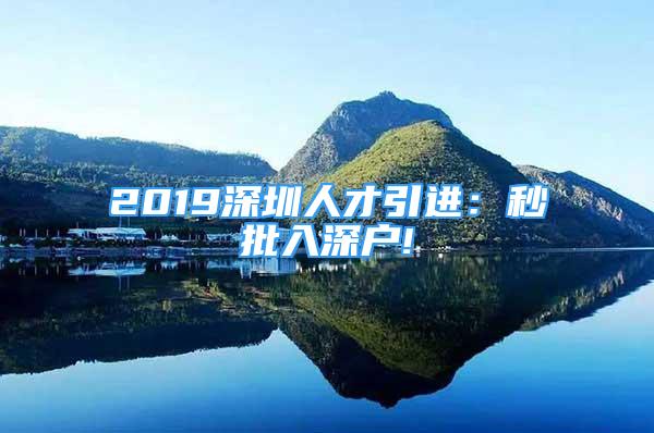 2019深圳人才引進(jìn)：秒批入深戶!