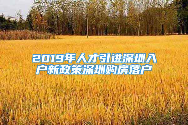 2019年人才引進(jìn)深圳入戶新政策深圳購(gòu)房落戶