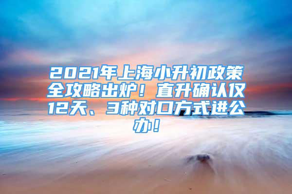 2021年上海小升初政策全攻略出爐！直升確認(rèn)僅12天、3種對(duì)口方式進(jìn)公辦！