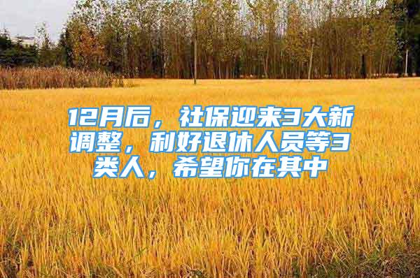 12月后，社保迎來(lái)3大新調(diào)整，利好退休人員等3類人，希望你在其中