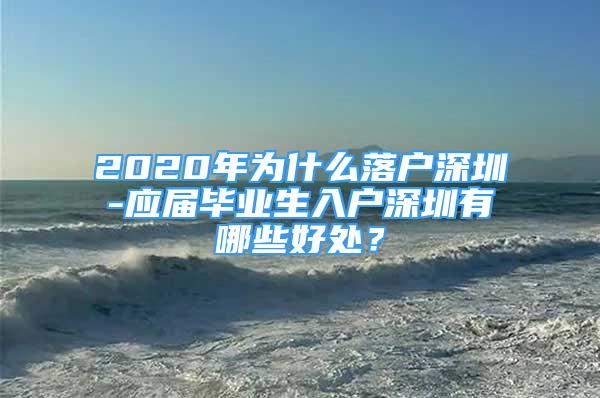 2020年為什么落戶深圳-應(yīng)屆畢業(yè)生入戶深圳有哪些好處？