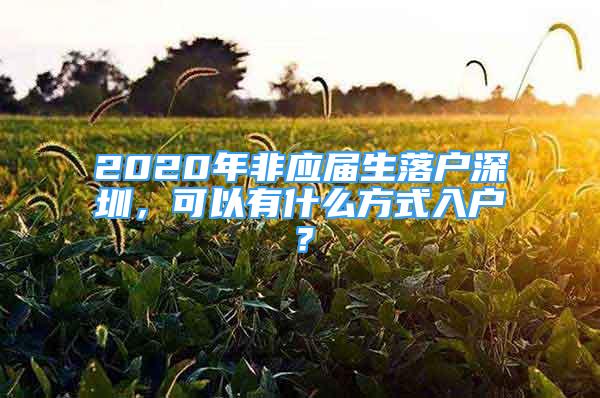 2020年非應(yīng)屆生落戶深圳，可以有什么方式入戶？