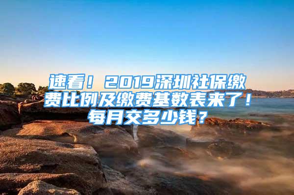 速看！2019深圳社保繳費比例及繳費基數表來了！每月交多少錢？