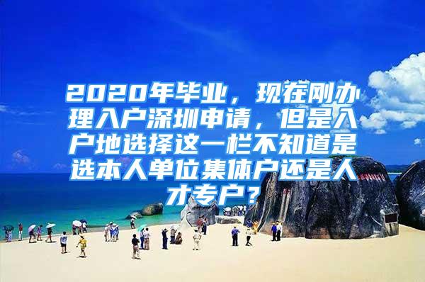 2020年畢業(yè)，現在剛辦理入戶深圳申請，但是入戶地選擇這一欄不知道是選本人單位集體戶還是人才專戶？