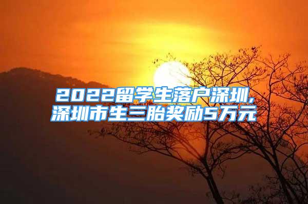 2022留學(xué)生落戶深圳,深圳市生三胎獎(jiǎng)勵(lì)5萬元