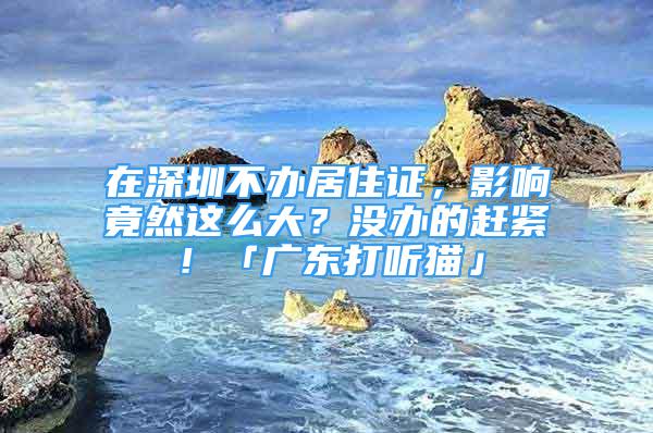 在深圳不辦居住證，影響竟然這么大？沒辦的趕緊！「廣東打聽貓」