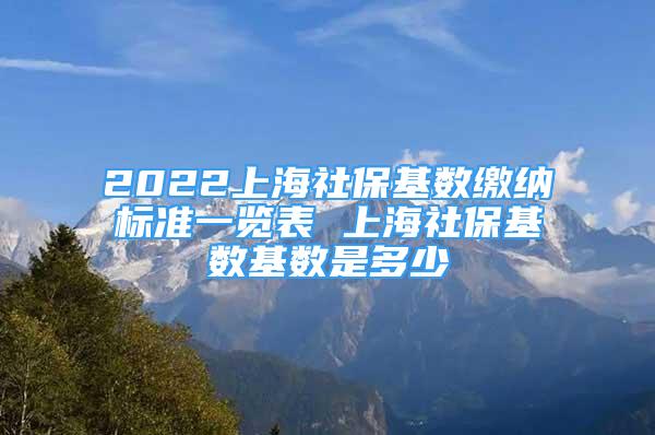 2022上海社?；鶖?shù)繳納標(biāo)準(zhǔn)一覽表 上海社?；鶖?shù)基數(shù)是多少