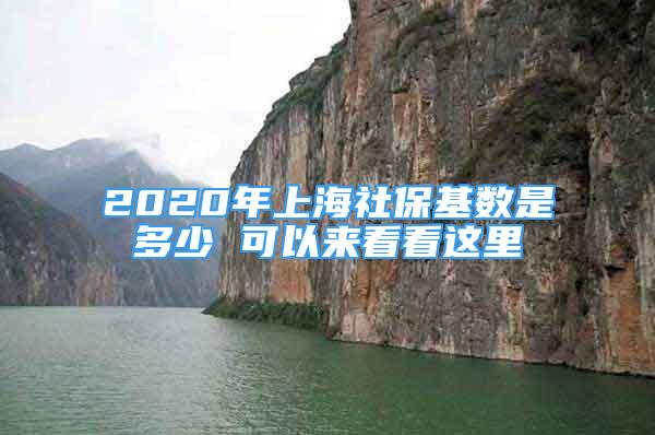 2020年上海社保基數(shù)是多少 可以來(lái)看看這里