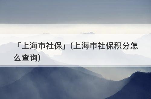 「上海市社?！?上海市社保積分怎么查詢)