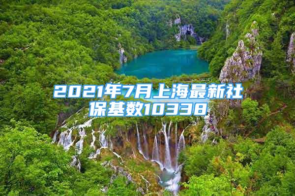 2021年7月上海最新社保基數(shù)10338