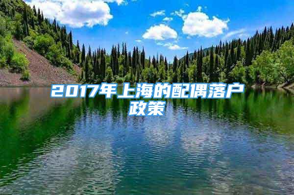 2017年上海的配偶落戶政策