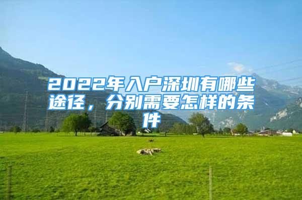 2022年入戶深圳有哪些途徑，分別需要怎樣的條件