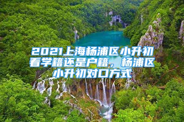 2021上海楊浦區(qū)小升初看學(xué)籍還是戶籍，楊浦區(qū)小升初對口方式