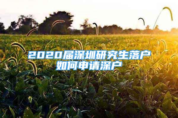 2020屆深圳研究生落戶如何申請(qǐng)深戶